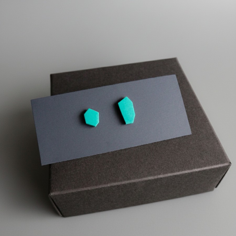 299 | Netaisyklingos formos auskarai